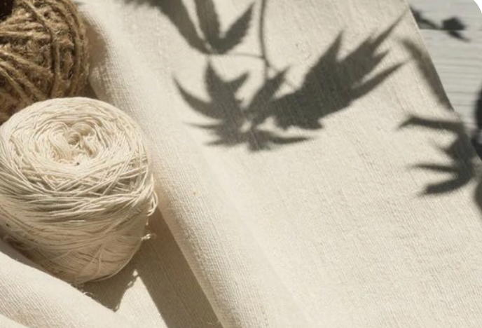 Le chanvre textile : la matière écologique par excellence ?